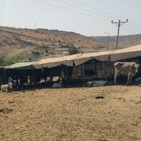 Solidarity Event in Bidou Communities in the Tubas 